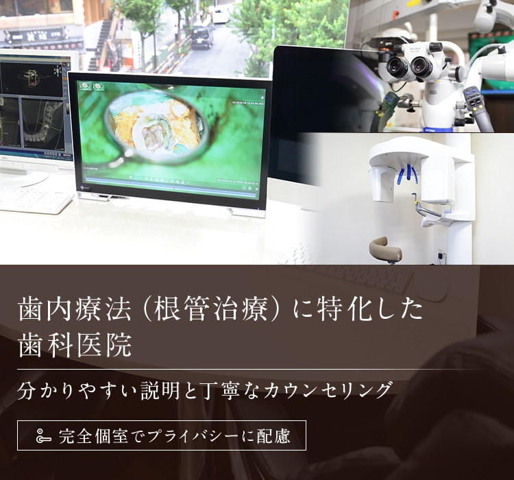 歯内療法（根管治療）に特化した歯科医院 分かりやすい説明と丁寧なカウンセリング